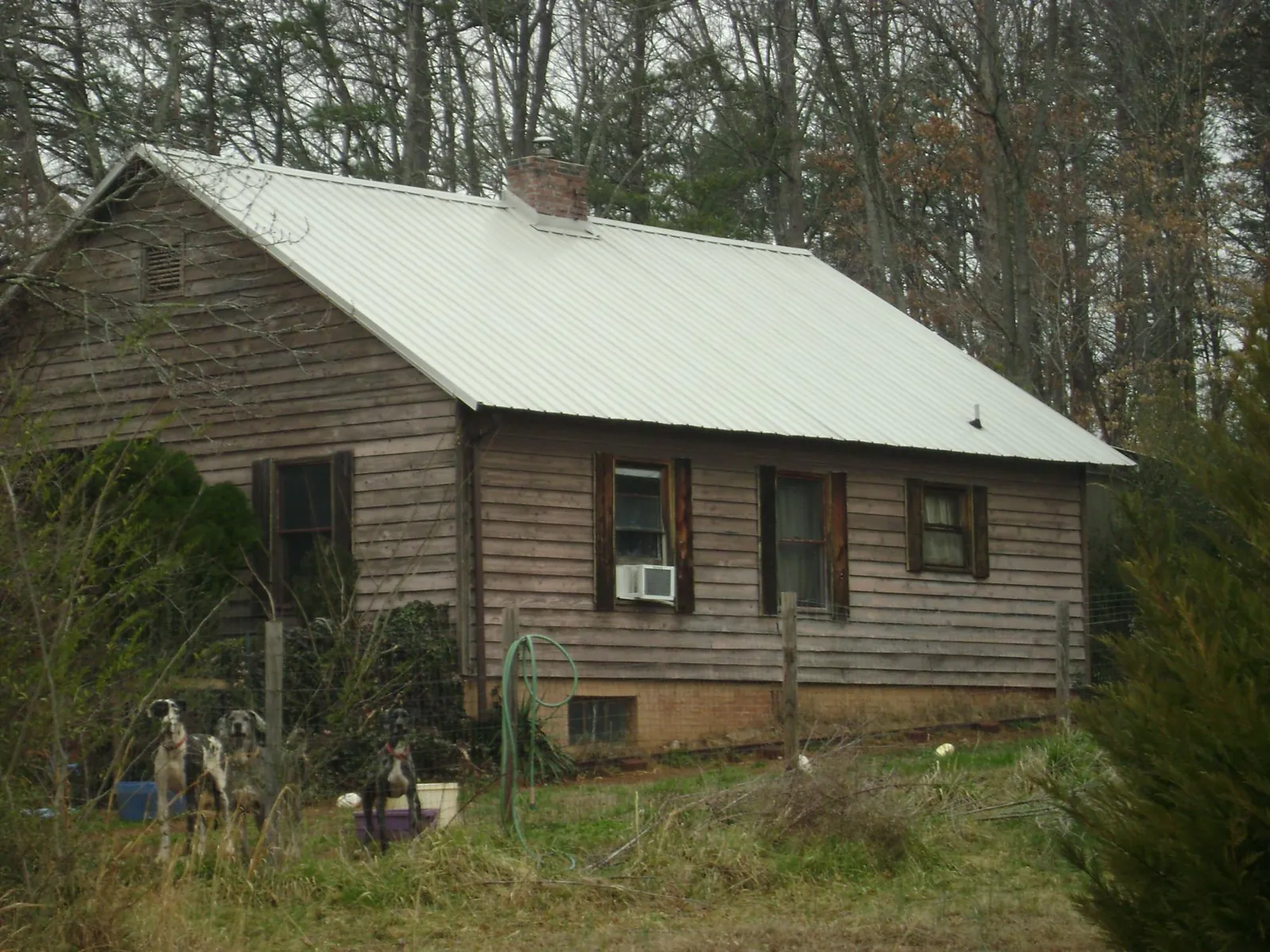 White metal roof on an old wood sided farmhouse, from a Asphalt Shingle Roof Repair job in Conifer